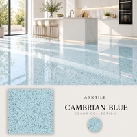 CAMBRIAN BLUE